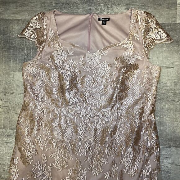 Brianna Women's Plus Size Pink Floral Embroidered Cap Sleeved Gown with Mesh - Picture 9 of 12